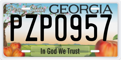 GA license plate PZP0957