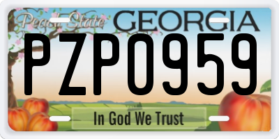 GA license plate PZP0959