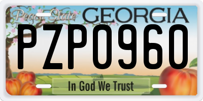 GA license plate PZP0960