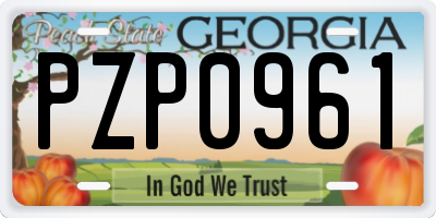 GA license plate PZP0961