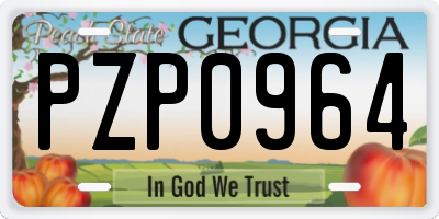 GA license plate PZP0964