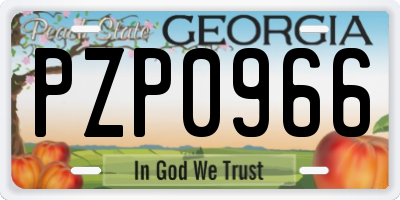 GA license plate PZP0966