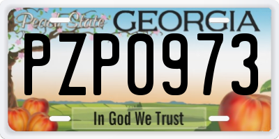 GA license plate PZP0973