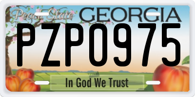 GA license plate PZP0975