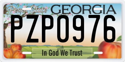 GA license plate PZP0976