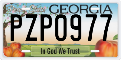 GA license plate PZP0977