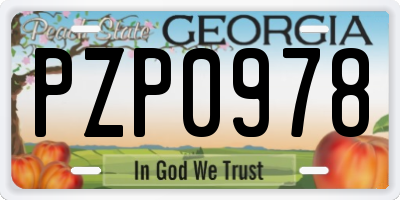 GA license plate PZP0978