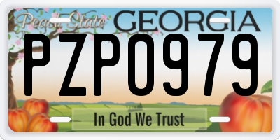 GA license plate PZP0979