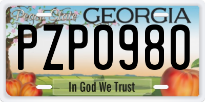 GA license plate PZP0980