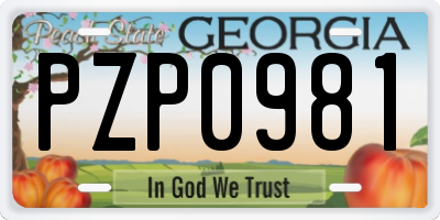 GA license plate PZP0981