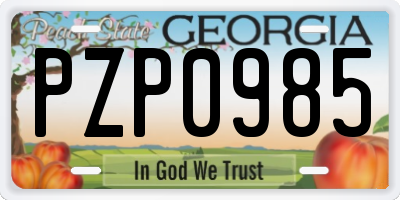 GA license plate PZP0985