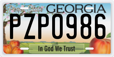 GA license plate PZP0986