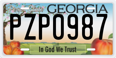 GA license plate PZP0987