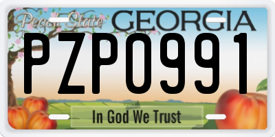 GA license plate PZP0991