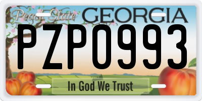GA license plate PZP0993