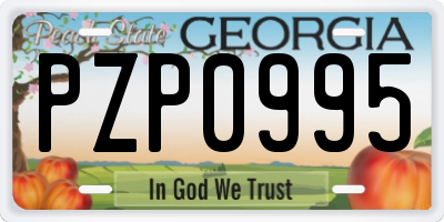 GA license plate PZP0995