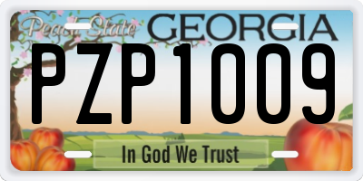 GA license plate PZP1009