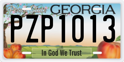 GA license plate PZP1013