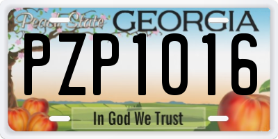 GA license plate PZP1016