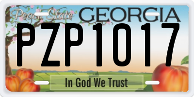 GA license plate PZP1017