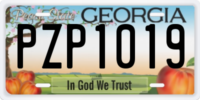 GA license plate PZP1019