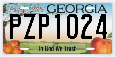 GA license plate PZP1024