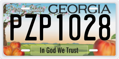 GA license plate PZP1028