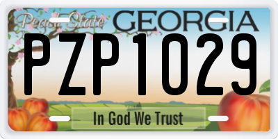 GA license plate PZP1029