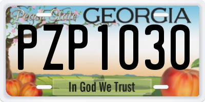 GA license plate PZP1030