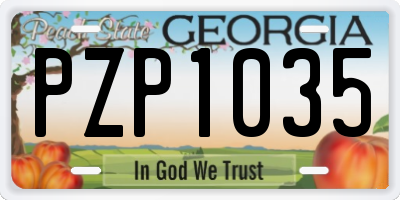 GA license plate PZP1035