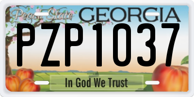 GA license plate PZP1037
