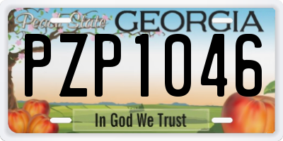 GA license plate PZP1046