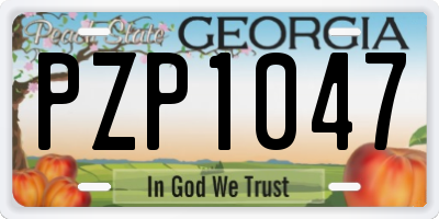 GA license plate PZP1047
