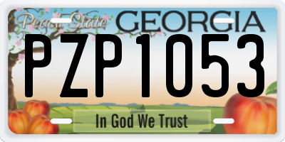 GA license plate PZP1053
