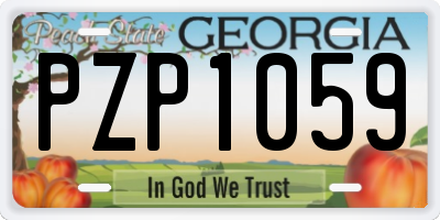 GA license plate PZP1059