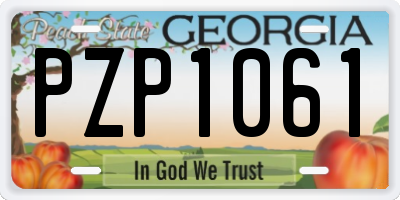 GA license plate PZP1061