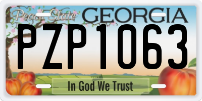 GA license plate PZP1063