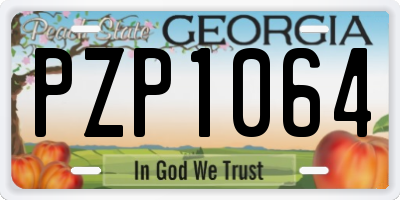 GA license plate PZP1064