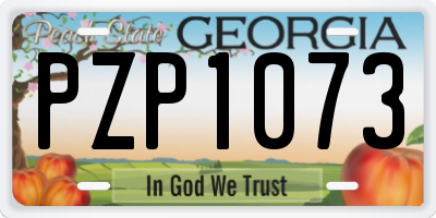 GA license plate PZP1073