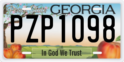 GA license plate PZP1098