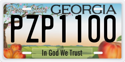 GA license plate PZP1100