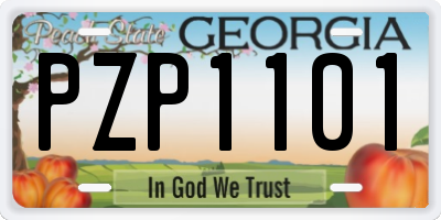 GA license plate PZP1101
