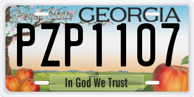 GA license plate PZP1107