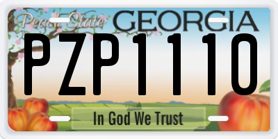 GA license plate PZP1110