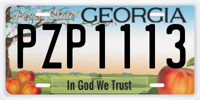 GA license plate PZP1113