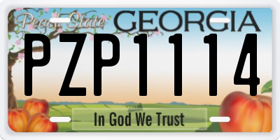 GA license plate PZP1114