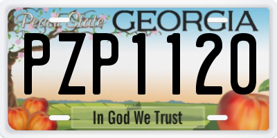 GA license plate PZP1120