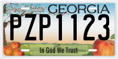 GA license plate PZP1123