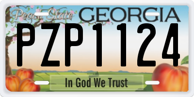 GA license plate PZP1124