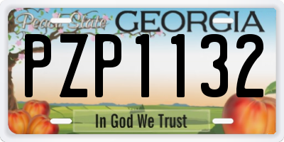 GA license plate PZP1132